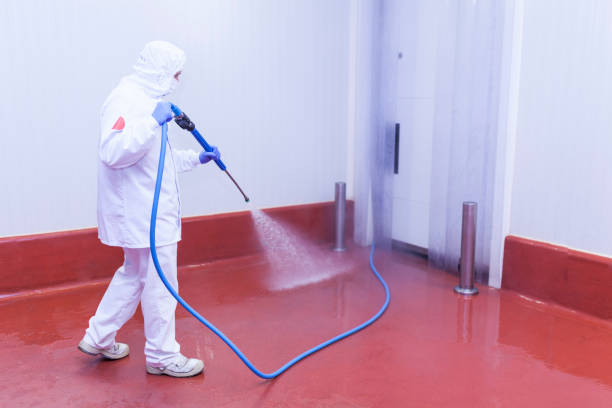 Trusted Pacific, WA Pressure Washing Services Experts