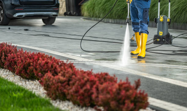 Best Graffiti Removal  in Pacific, WA